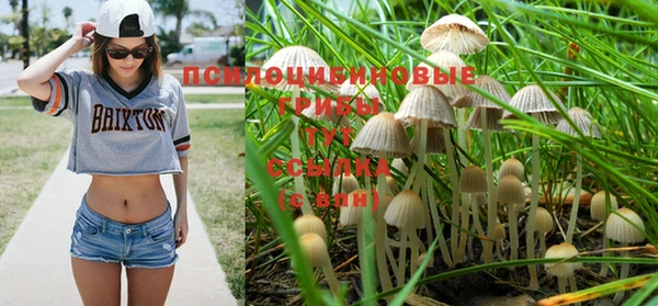 прущий лед Арсеньев