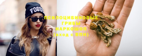 Альфа ПВП Аркадак