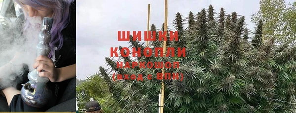 Альфа ПВП Аркадак