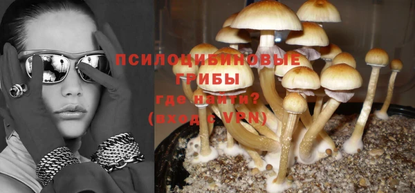 прущий лед Арсеньев
