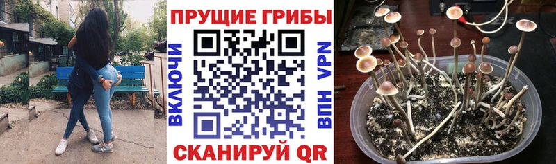 Псилоцибиновые грибы GOLDEN TEACHER  Купить закладки  Лангепас 